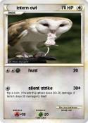 intern owl