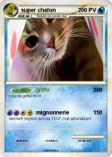 super chaton