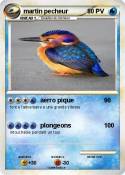 martin pecheur