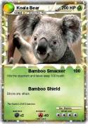 Koala Bear
