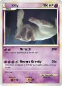 Kitty
