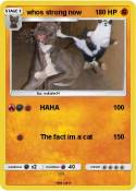 whos strong