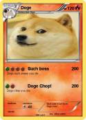 Doge