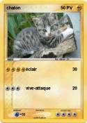 chaton