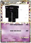 petit enderman