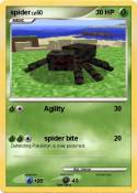 spider