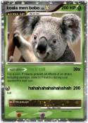 koala men bobo