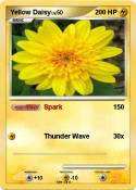 Yellow Daisy