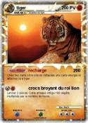 tiger