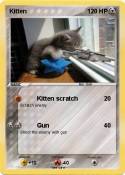 Kitten