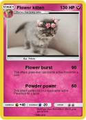 Flower kitten