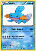 Mudkip