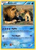 Animals