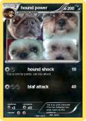 hound power