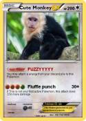 Cute Monkey