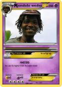 jondolo weder