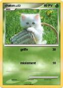 chaton