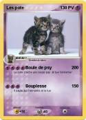 Les pote