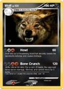 Wolf