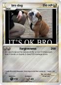bro dog