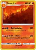 Forest fire