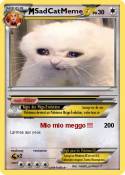SadCatMeme