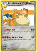 Fat charizard