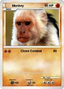 Monkey