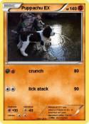 Puppachu EX