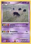 mouton