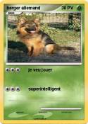 berger allemand