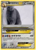 MEOW!!
