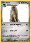 chat métal