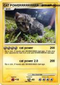 CAT POWERRRRRRR