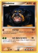 rotweilleileur