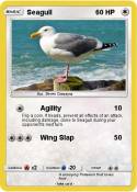 Seagull