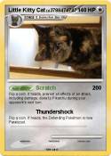 Little Kitty