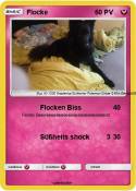 Flocke