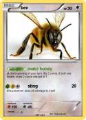 bee