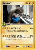 EVIL CAT