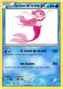 la rose de la