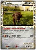 wolfer
