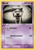 Mr. cat