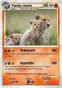 Family cheeta