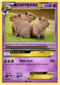 CAPYBARA