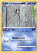 spider