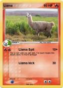 Llama