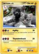 cat love