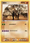  arbre 