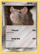Rat